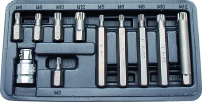 Immagine prodotto di Set di bit | esagono esterno 10 mm (3/8") | multidente interno (per XZN) | 11 pz.
