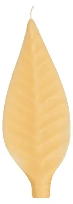 Immagine prodotto di Candela grande, color avorio.