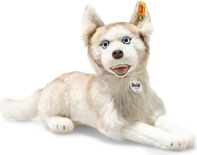 Produktbild von Steiff  Siberian Dui Husky 35 weiss liegend 033070 Sammlerartikel ! Achtung: Kein Spielzeug