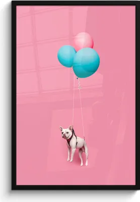 Produktbild von MuchoWow® MuchoWow® Gerahmtes Poster Französische Bulldogge auf drei Luftballons 60x90 cm - Poster mit zchwarzem Bilderrahmen - Kunst