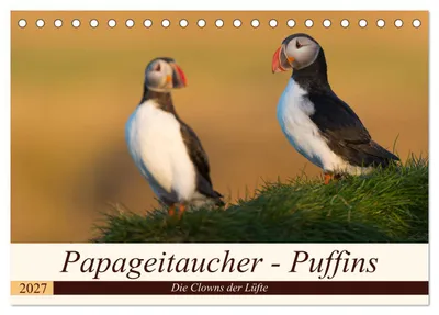 Produktbild von Papageitaucher - Puffins (Tischkalender 2027 DIN A5 quer), CALVENDO Monatskalender