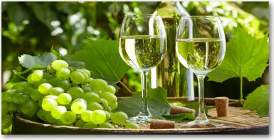 Produktbild von Tulup® Glas-Bild - 100x50 -Wandkunst - Wandbild hinter gehärtetem Sicherheitsglas  - Essen & Getränke - Weißwein Früchte - Grün