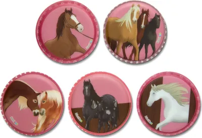 A collage of five round patches with horse illustrations on a pink background.