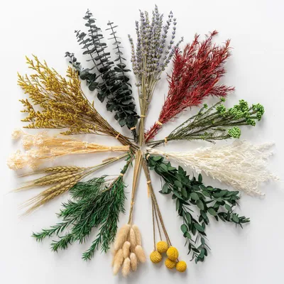 Produktbild von 12er Set getrocknete Blumen Lavendel Eukalyptus Weizen Hasenschwanzgras DIY Deko 23-25cm