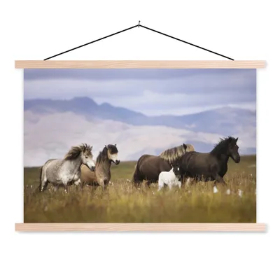 Obrázek produktu pro MuchoWow® Textilní plakát - Koně - tráva - hory - 60x40cm - S hnědými lamelami
