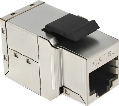 Image de DELOCK Keystone RJ45 Cat6a femelle