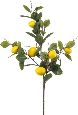 Produktbild von artplants.de Künstlicher Zitronenzweig QUEOSHA mit Früchten, gelb, 95cm - Kunststoff Zweig