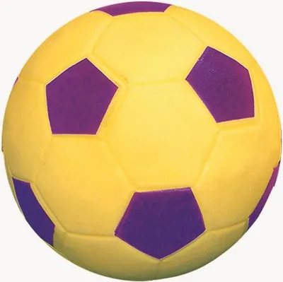 Image de Balle de jeu Pelletz-N-Supersafe de Spordas pour l'intérieur et l'extérieur