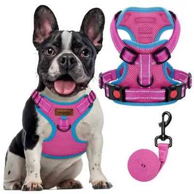Produktbild von Hundegeschirr Antizug Frontclip Reflektierend Rosa Größe L