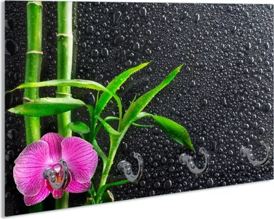 Produktbild von Wallario Schlüsselbrett aus Glas, Motiv: Bambus und pinke Orchidee auf schwarzem Glas mit Regentropfen, 30 x 20 cm mit 4 Haken