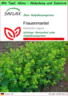 Produktbild von SAFLAX Garden to go - Frauenmantel - Alchemilla vulgaris - 100 Samen - Mit Topf, Klima - Deckel und Anzuchtsubstrat