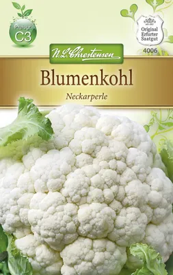 Produktbild von [STREICHUNG 2026] Blumenkohl Neckarperle | Blumenkohlsamen von N.L. Chrestensen