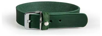 Produktbild von Das Lederband Hundehalsband Weinheim Hunting Green, Länge: 42 cm