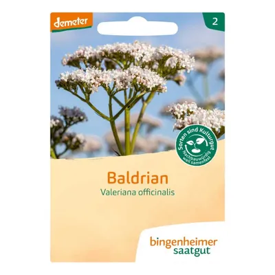 Obrázok produktu pre Valeriána lekárska - Valeriana officinalis 4 balenia