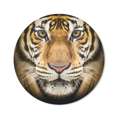 Produktbild von MuchoWow® Mauspad Mousepad Tiger - Tier - Porträt 20x20 cm - Mousepads - Maus Mat - Pad - Mausunterlage - Schreibtischmatte