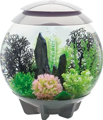 Produktbild von Oase biOrb Halo 30 Liter Aquarium MCR grau