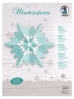 Produktbild von URSUS Winterstern eisblau
