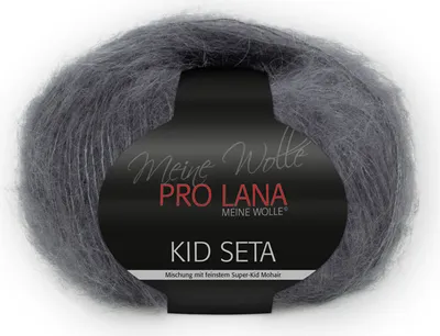 Produktbild von Pro Lana Kid Seta Uni 25g (98)