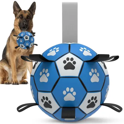 Produktbild von Hundefußball mit Seil XL Blau