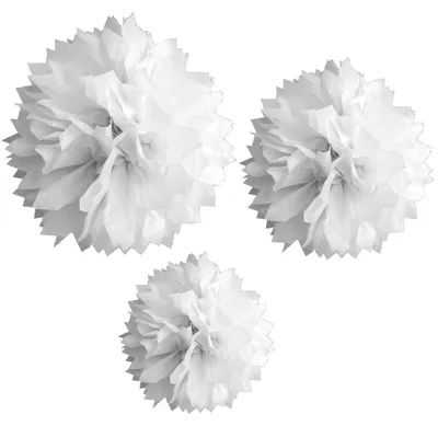 Imagen del producto de 3 pompones de papel blancos – Juego de color blanco – Talla única