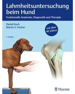 Image de Lahmheitsuntersuchung beim Hund