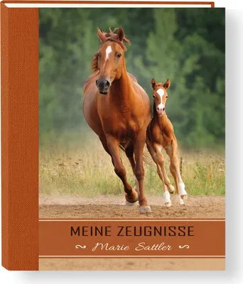 Produktbild von Zeugnismappe Little Horse mit Name personalisiert A4 - in Handarbeit