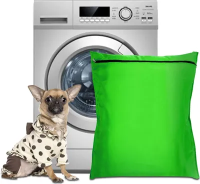 A chihuahua in a polka dot outfit sits in front of a washing machine and a green laundry bag.