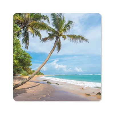 Produktbild von MuchoWow® Mauspad Mousepad Palme - Strand - Meer 30x30 cm - Mousepads - Maus Mat - Pad - Mausunterlage - Gaming