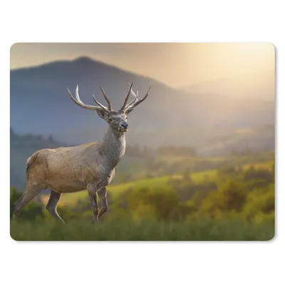 Produktbild von MuchoWow® Mauspad Mousepad Hirsche - Berg - Gras - Sonnenuntergang - Tiere - Natur 23x19 cm - Mousepads - Maus Mat - Pad - Mausunterlage - Schreibtischunterlage - Mauspad