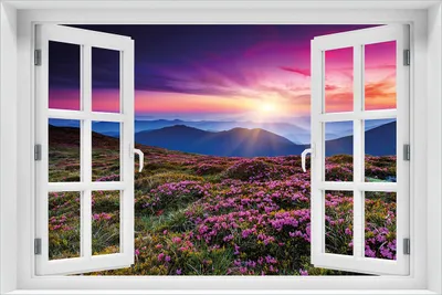 Produktbild von Wallario Poster mit Fenster-Illusion: Blumenbedeckte Wiese bei Sonnenuntergang, Größe: 61 x 91,5 cm (Maxiposter)