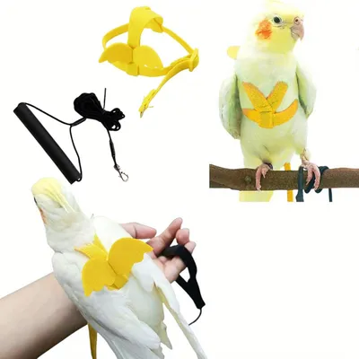 Imagen del producto de Chaleco protector de nylon, anti-mordeduras, 2 unidades, apto para aves, para loros