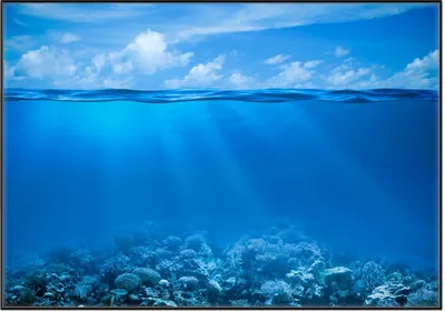 Produktbild von Wallario Wandbild Unterwasserwelt Meer, Größe: 70,30 x 100,30 cm, Poster mit schwarzem Aluminiumrahmen