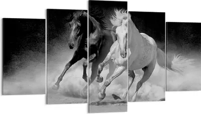 Produktbild von Bild auf Leinwand - Leinwandbild - 5 Teile - Andalusier Pferde Galopp - 160x85cm - Wand Bild - Wanddeko - Wandbilder - Leinwanddruck - Bilder - Wanddekoration - Leinwand bilder - EA160x85-4240