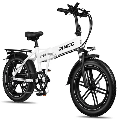 Produktbild von E-Bike Cityrad R200 E-Fahrrad 720WH Pedelec, 48V 15 AH 100 km Reichweite Heckmotor, 720Wh, Heckmotor,25 KM/H, bis 100km, e-bikes Herren Elektrofahrrad