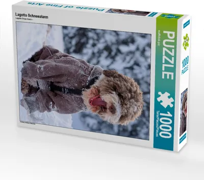 Produktbild von CALVENDO Puzzle Lagotto Schneealarm | 1000 Teile Lege-Größe 64x48cm Foto-Puzzle für glückliche Stunden