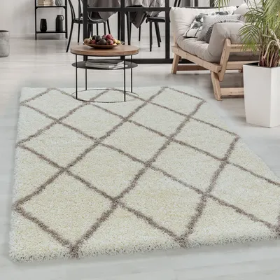 Produktbild von Carpetsale24 Hochflor Teppich Wohnzimmer Modern Rauten Design Teppich Shaggy Flauschig Weich Grösse 60x110 cm