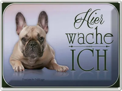 Produktbild von vianmo Blechschild 30x40 cm Hund Französische Bulldogge hier