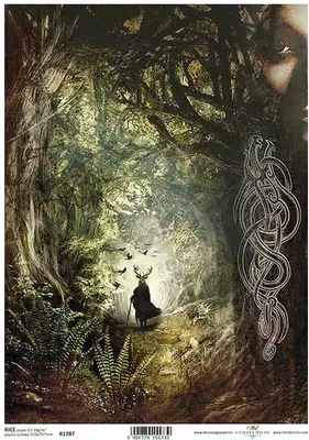 Produktbild von ITD Reispapier Decoupage Bastelpapier, Wald, Geheimnis, Farn R1787