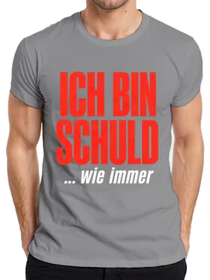 Produktbild von Ich bin schuld wie immer Lustig Sarkasmus Statement Sündenbock Herren T-Shirt, Grau, XXL