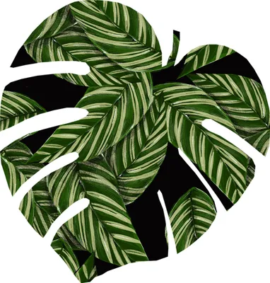 Produktbild von Bertoni Monstera Filzunterlage D 40x40 cm 4 mm dick - Capri