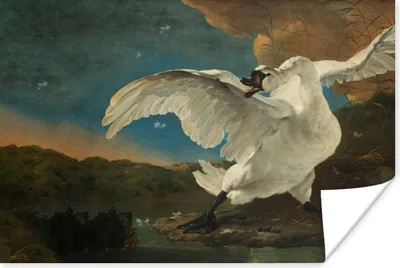 Produktbild von MuchoWow® Poster Schwan - Alte Meister - Jan Asselijn 90x60 cm - Schlafzimmer