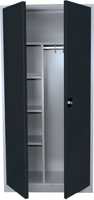An open metal cabinet with shelves and a hanging rod.