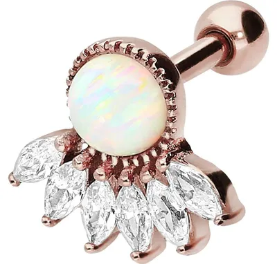 Produktbild von Ohrpiercing Chirurgenstahl Ohrpiercing 6 EINGEFASSTE KRISTALLE + SYNTHETISCHER OPAL