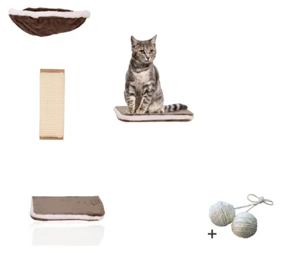 Produktbild von Rohrschneider Vierteilige Katzen Kletterwand Katzenmöbel Wandmontage Wandelemente Katzenspielzeug mit Wandliege für Katzen Wandpark mit Katzenhängematte Zubehör, Farbe:grau