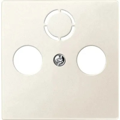 Image de Plaque centrale pour prises d'antenne, blanche, système M