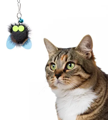Produktbild von Spielanhänger für Katzenangel · Katzenangel-Aufsatz · Fliege