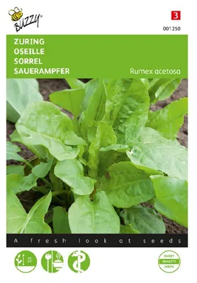 Produktbild von Buzzy Seeds Sauerampfer Kräutersamen - 1 Saatgutbeutel