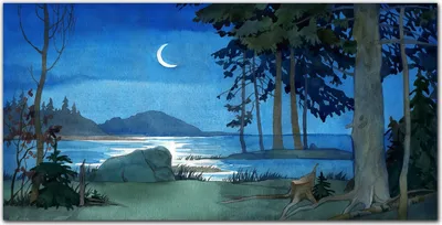 Produktbild von Coloray Bild aus Leinwand 100x50 Leinwand Dekoration - Malerei Meer Wald Nacht