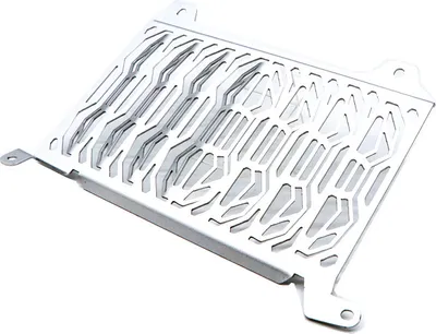 Image de Protecteur de radiateur moto Grille de protection pour HONDA CB500X 2019 argenté