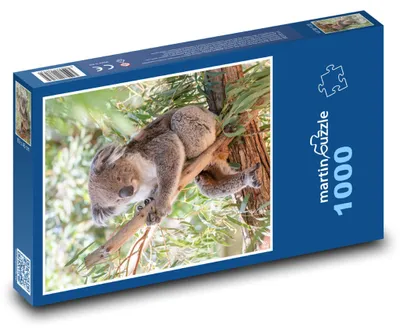 Obrázek produktu pro martinpuzzle - Puzzle 1000 - Koala - vačnatec, býložravec
